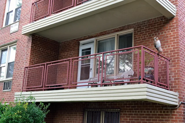 condominium, terrace, upper west side, manhattan, tree, brick, residential, real-estate, building, apartment building, design, door, lounge, chairs, ornament, owl, windows, house, home, brick wall, burgundy, brown, white, glass, real, wall, exterior, concrete, apartment, american, united states, protective, protection, security, gate, caution, safe, property, coop, own, residence, extended, outer, poking out, sticking out, extract, sturdy, strong, statement, view, comfort, expensive, expense, investment, invest, luxury, relax, breeze, familiar, family, household, local, national, native, at ease, at rest, down home, homely, homey, in one's element, in the bosom, inland, realestate, new york, upper westside, park west village, realestate, realestate, realestate, realestate, realestate. New York City co-op and condo lead nurturing under state disclosure rules